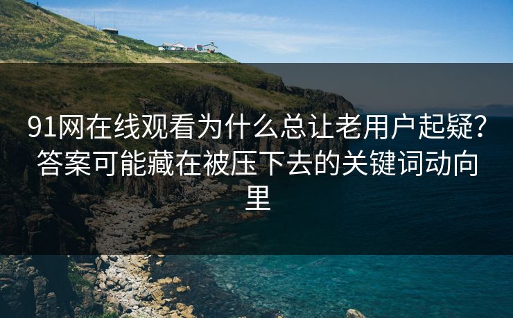 91网在线观看为什么总让老用户起疑?答案可能藏在被压下去的关键词动向里