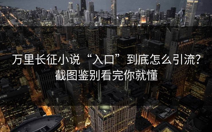 万里长征小说“入口”到底怎么引流?截图鉴别看完你就懂