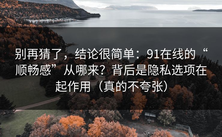 别再猜了,结论很简单:91在线的“顺畅感”从哪来?背后是隐私选项在起作用(真的不夸张)