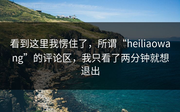 看到这里我愣住了,所谓“heiliaowang”的评论区,我只看了两分钟就想退出 看到这里我愣住了,所谓“heiliaowang”的评论区,我只看了两分钟就想退出