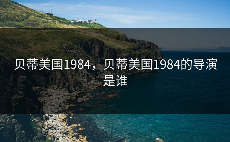贝蒂美国1984，贝蒂美国1984的导演是谁