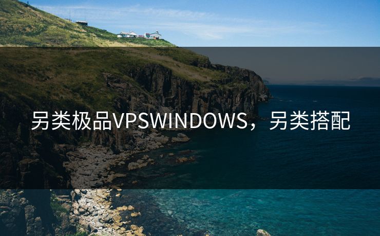另类极品VPSWINDOWS，另类搭配