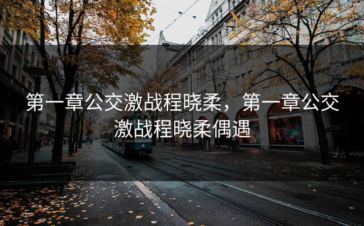 第一章公交激战程晓柔，第一章公交激战程晓柔偶遇